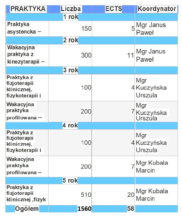 praktyki_fizjo_tabela-1.jpg